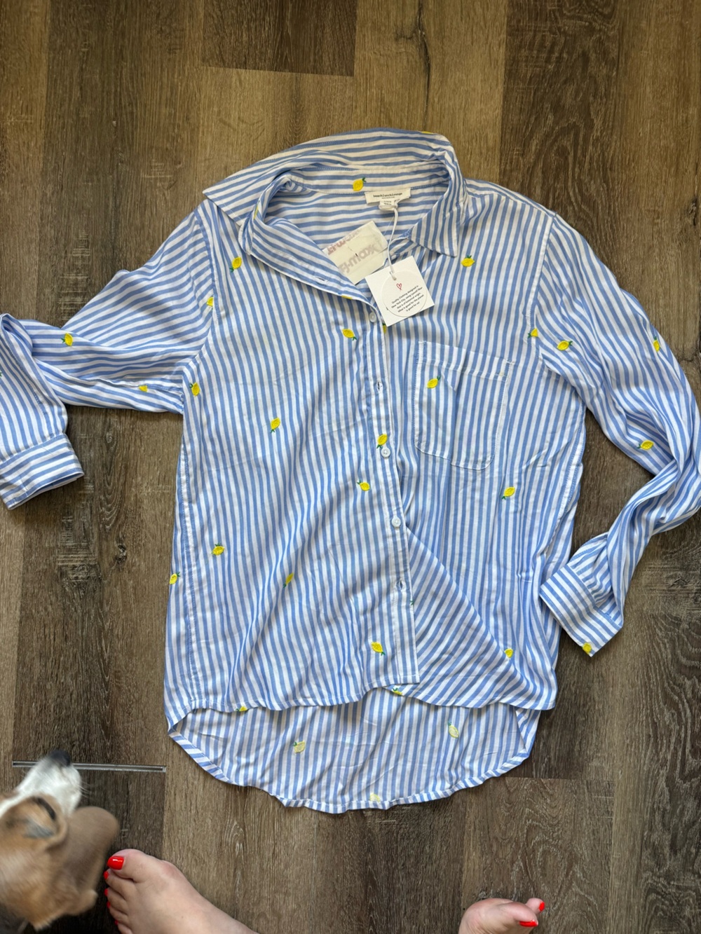 Women’s Blue & White Striped Shirt with Lemon Embroidery